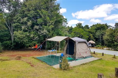 National Park Odyssey: Green Mountain Campground, Lamington National Park, QLD.