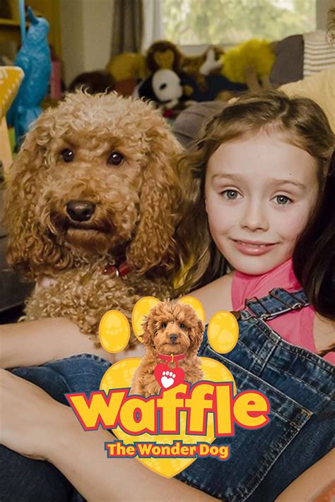 Waffle the Wonder Dog Pictures - Rotten Tomatoes