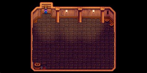 Stardew Valley Player Fills Cellar with Ancient Fruit Wine