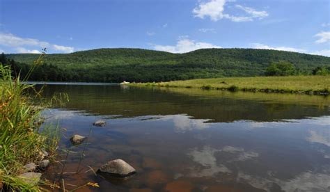 Lake vs Pond: What’s the Difference? • Fish Tank Advisor