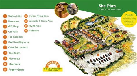 Visitor Information & Prices - Screech Owl Sanctuary & Animal Park