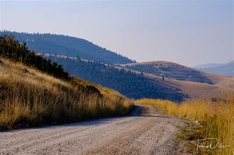 National Bison Range near Charlo, Montana | Tom Dills Photography Blog