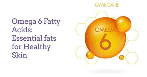 Omega 6 Fatty Acids: Foods, Benefits & Uses for Skin – Derma Essentia