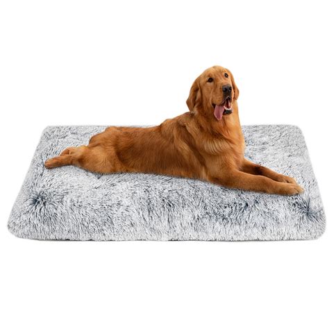 YooksFurhaven Pet Bundle Water-Resistant Bed Indoor Deluxe Foam ...