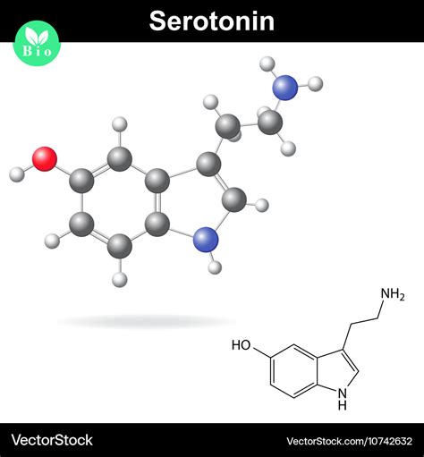 Serotonin molecular structure Royalty Free Vector Image