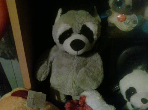 My Raccoon Plush 202 by PoKeMoNosterfanZG on DeviantArt