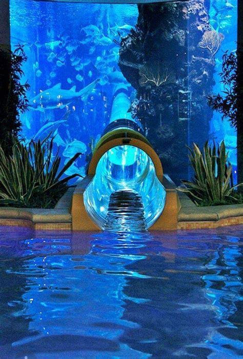 Water Slide Through Shark Aquarium, Golden Nugget, Las Vegas | Places ...