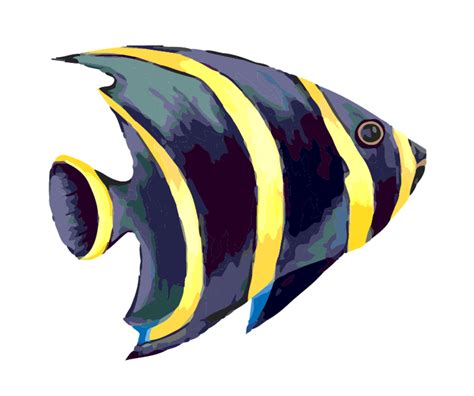 Vector Ocean Fish | FreeVectors