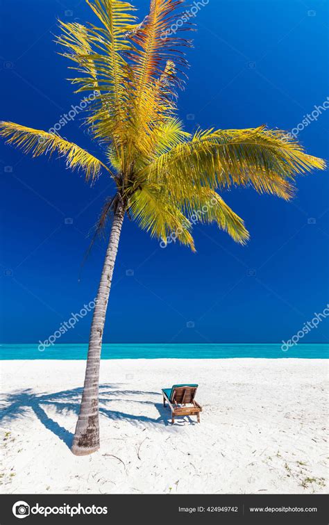 Tropical Beach Maldives Palm Trees Vibrant Inviting Lagoon Stock Photo by ©mvaligursky 424949742