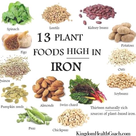 Iron deficiencies are extremely common. Here are 13 foods super high in iron! # ...