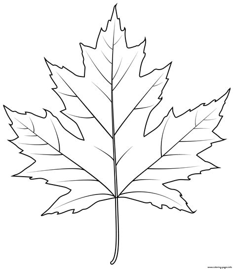 Maple Leaves Template