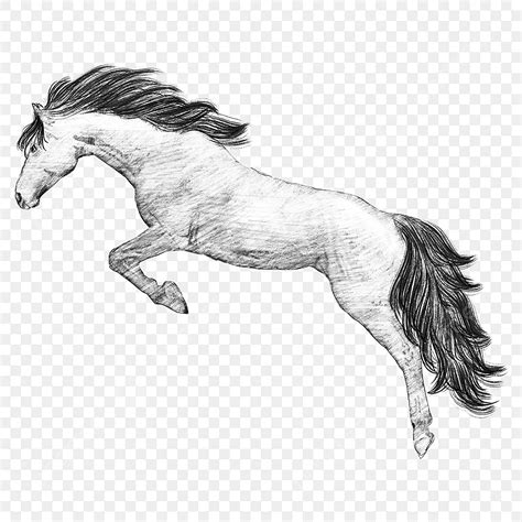 Horse Jumping PNG Picture, Side Horse Jumping Sketch, Black Hair, Jump, Dynamic PNG Image For ...