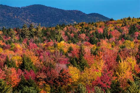 Predicting when fall foliage will peak in New England is a crapshoot ...