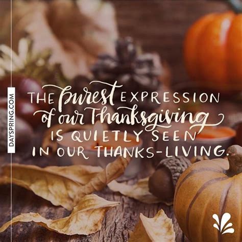 Happy Thanksgiving friends. Love this quote from @dayspringcards Where are you living your ...