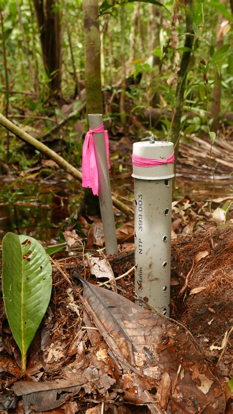 Carbon Storage in Amazonian Peatlands: Distribution and Dynamics – Tropical Wetlands Consortium