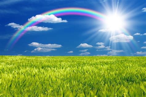 Rainbow Sunshine Wallpapers - WallpaperSafari