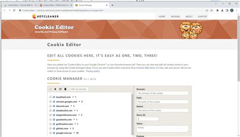 The 5 Best Cookie Editor Extensions for Google Chrome