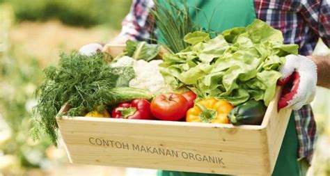 10 Contoh Makanan Organik yang Kaya Nutrisi dan Sehat