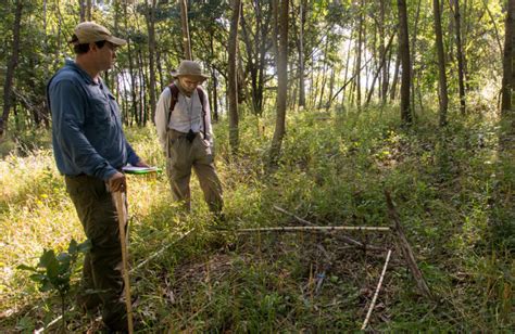 Research Brief: U of M researchers uproot decades of buckthorn ...