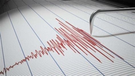 Terremoto oggi 24 agosto 2021: tutte le ultime scosse | Ultim'ora Italia