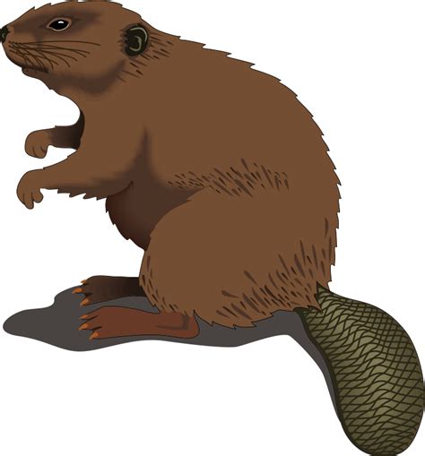 Brown Cartoon Beaver Clip Art | Clipart Panda - Free Clipart Images