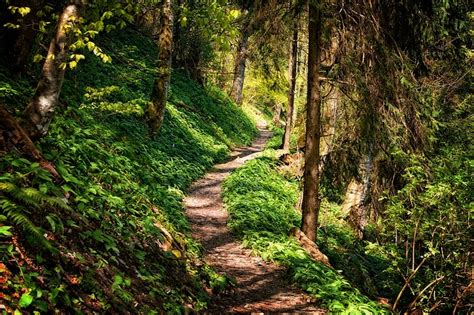 Staying On The Path | Biotoxin Journey