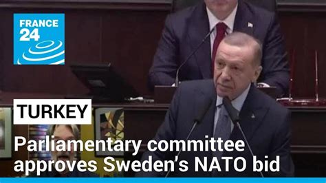 Sweden closer to NATO membership after Turkish parliamentary committee ...