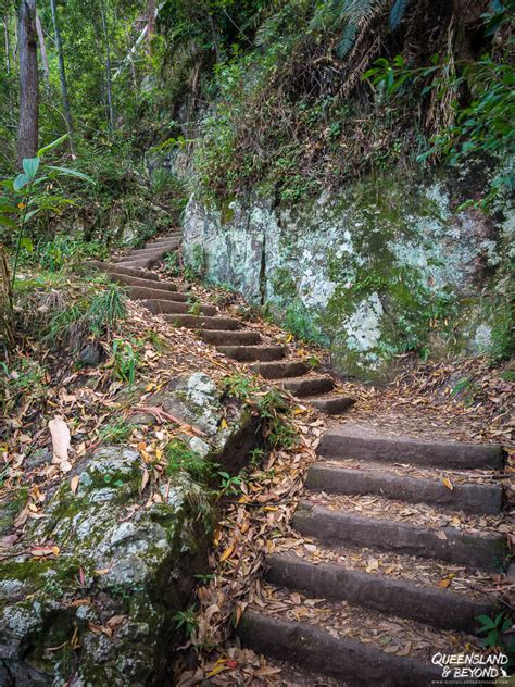 Hiking Springbrook National Park: A waterfall guide