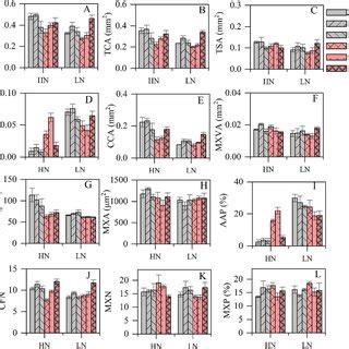 Root anatomy parameter of different NUE maize varieties at 40 days in ...