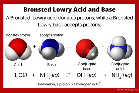 Bronsted Lowry Acid and Base Theory