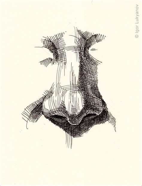 Drawing Sketch a Day by Igor Lukyanov: Drawing a Realistic Human Nose