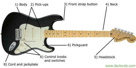 Guitar Parts Names: Know The Parts Of Electric Guitar