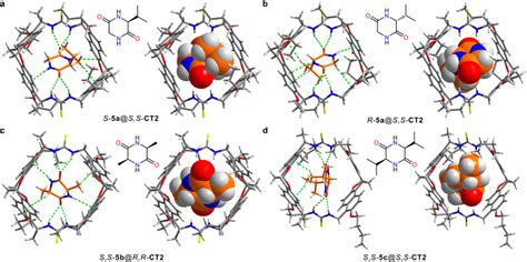 | Mechanism investigation of the chiral recognition. a... | Download ...