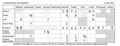 IPA consonant chart Diagram | Quizlet