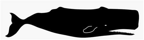 Silhouette Of A Sperm Whale, HD Png Download - kindpng