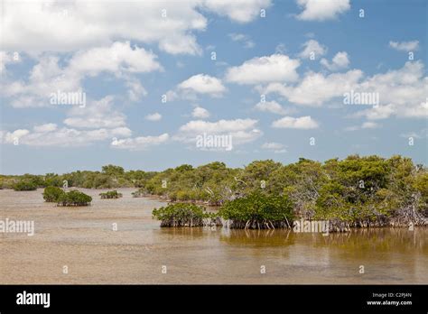 Crocodile Lake National Wildlife Refuge, Key Largo, Florida, USA Stock Photo - Alamy