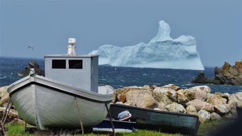 30,000 litres of iceberg water set to become vodka stolen from Port Union warehouse | CBC News