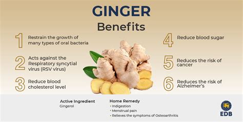 Unveiling the Secrets of Ginger Beer: The Role of Seeds in Brewing