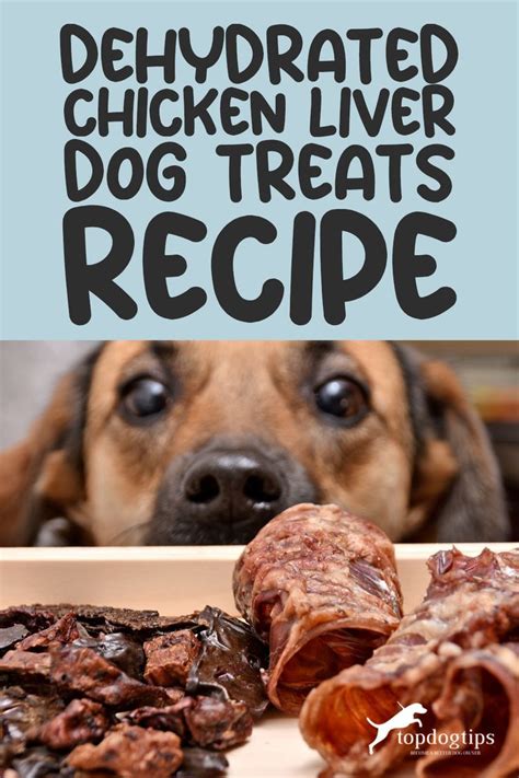 Homemade Dehydrated Chicken Liver Dog Treats Recipe (Video) in 2024 | Easy dog treat recipes ...