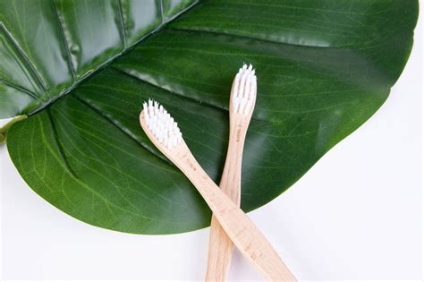 Best Bamboo Toothbrushes: The 2021 Plastic-Free Alternative