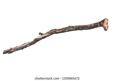 Similar Images, Stock Photos & Vectors of Single dry tree branch - isolated on white background ...