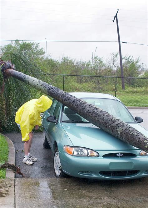 Hurricane Damage Photograph by Jim Reed/science Photo Library - Fine ...