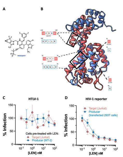 The activity of lenacapavir against HTLV-1. (A) Chemical structure of ...