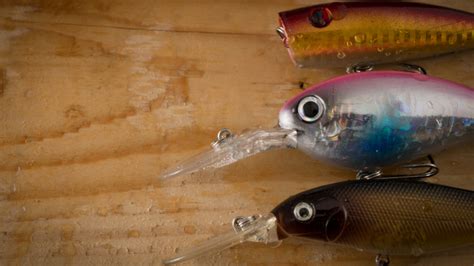 9 Best Salmon Lures Of 2024 (Rod And Reel Buying Guide)