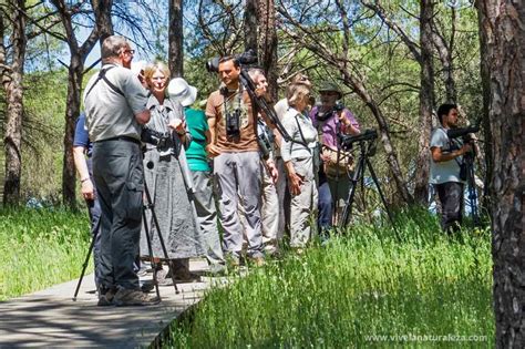 Cómo observar aves - Vive la Naturaleza