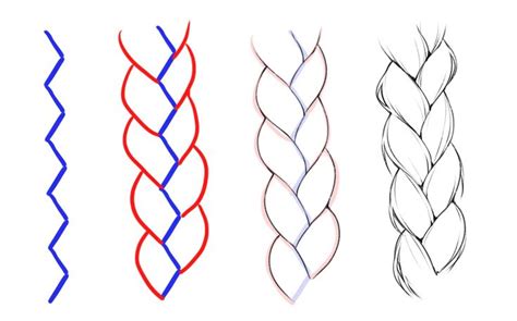 How to Draw Ten Types of Braids | How to draw braids, Book art drawings, Art tools drawing