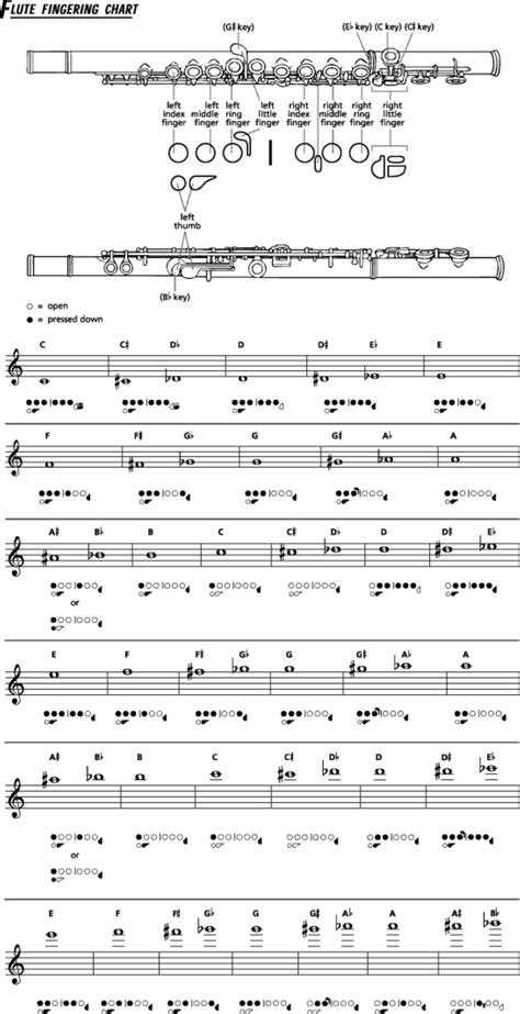 Flute Fingering Chart Example Free Download