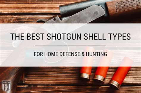 Best Shotgun Shells for Home Defense & Hunting Chosen by Ammo.com