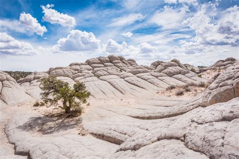 28 Photos of White Pocket, Arizona That Will Blow Your Mind! – Wandering Wheatleys