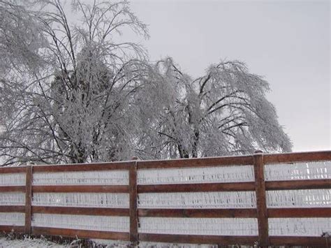 2009 kentucky ice storm pictures | Picture of Ice Storm 2009 posted in ...